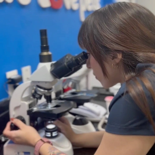 Dermatología veterinaria en Lomont