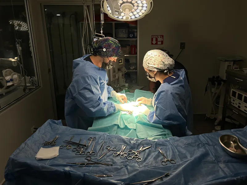 Equipo de especialistas en oncología veterinaria de Lomont® durante una cirugía oncológica de mascota