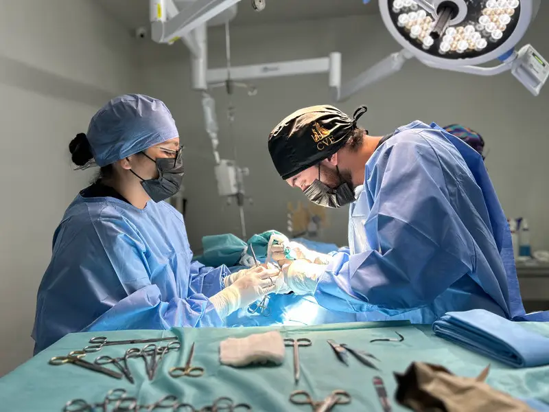 Cirujanos veterinarios de Lomont® realizando una cirugía oncológica a una mascota con cáncer en Monterrey