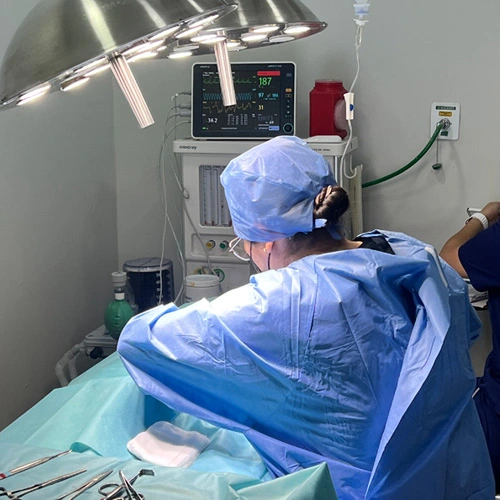 Oncología veterinaria Lomont